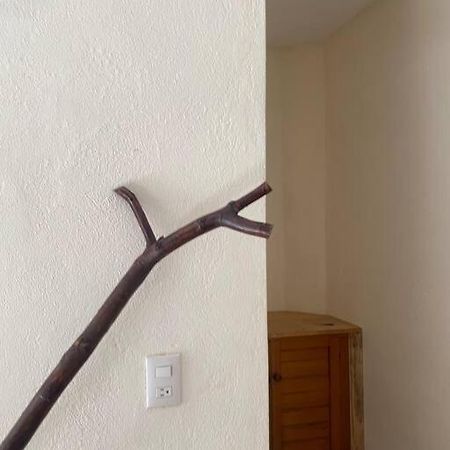 Habitacion Istmo #7 Brisas de Zicatela Екстер'єр фото