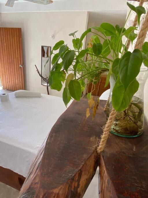 Habitacion Istmo #7 Brisas de Zicatela Екстер'єр фото